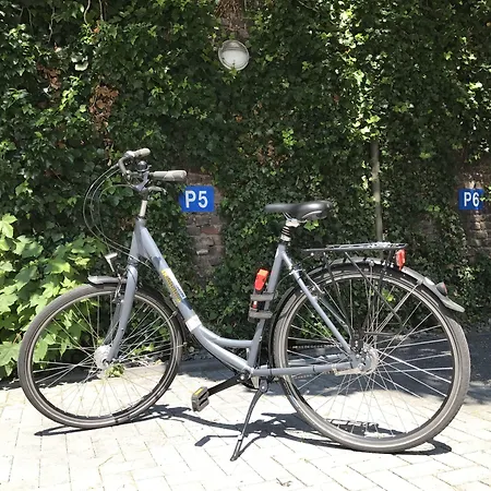 Hotel Conti - Partner Of Sorat 4*