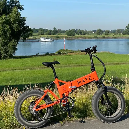 Conti - Partner Of Sorat