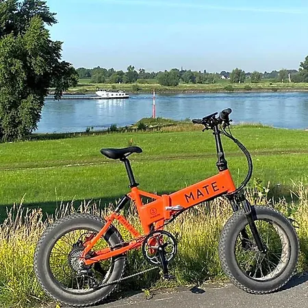 Conti - Partner Of Sorat Duisburg